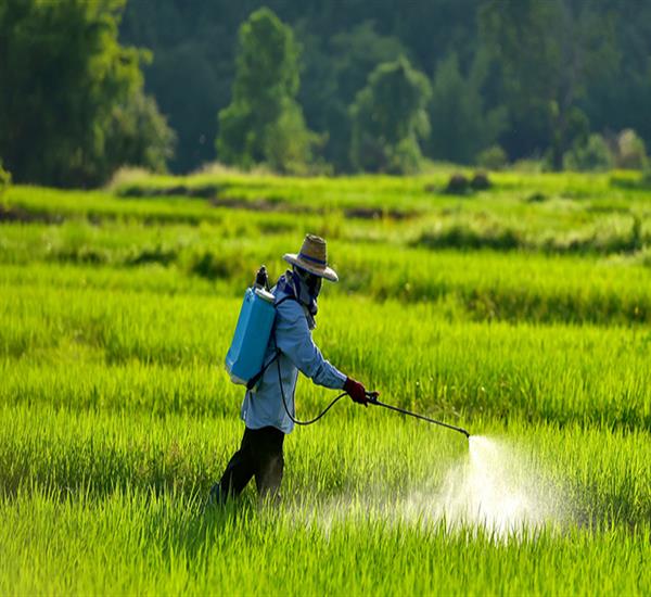 Insecticides