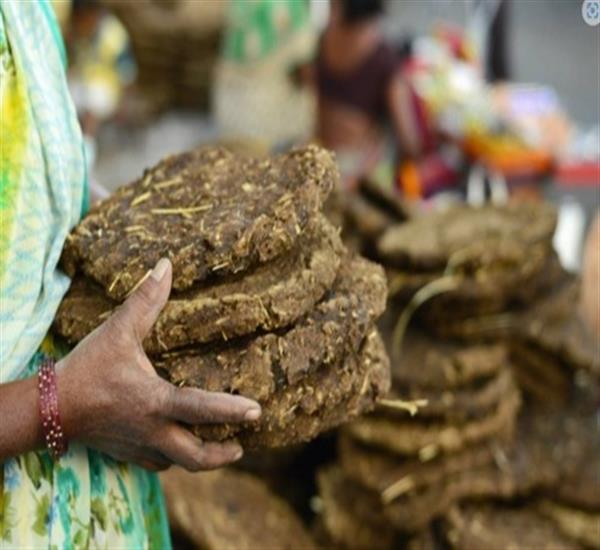 Cow dung Cake