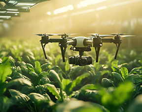 Agriculture Products