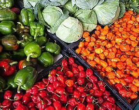 Organic Products